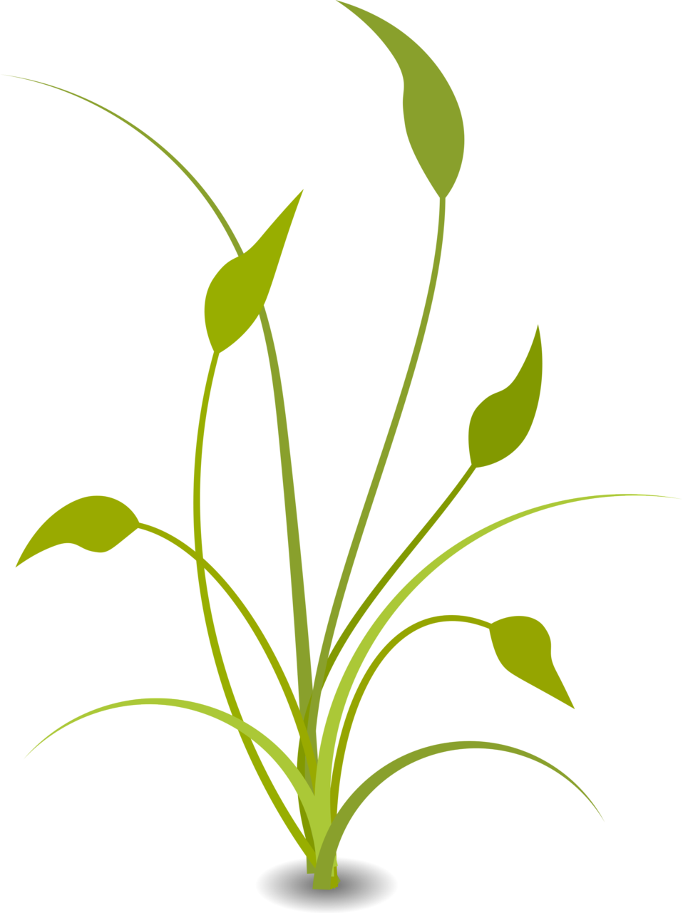 clip art green plant - photo #21