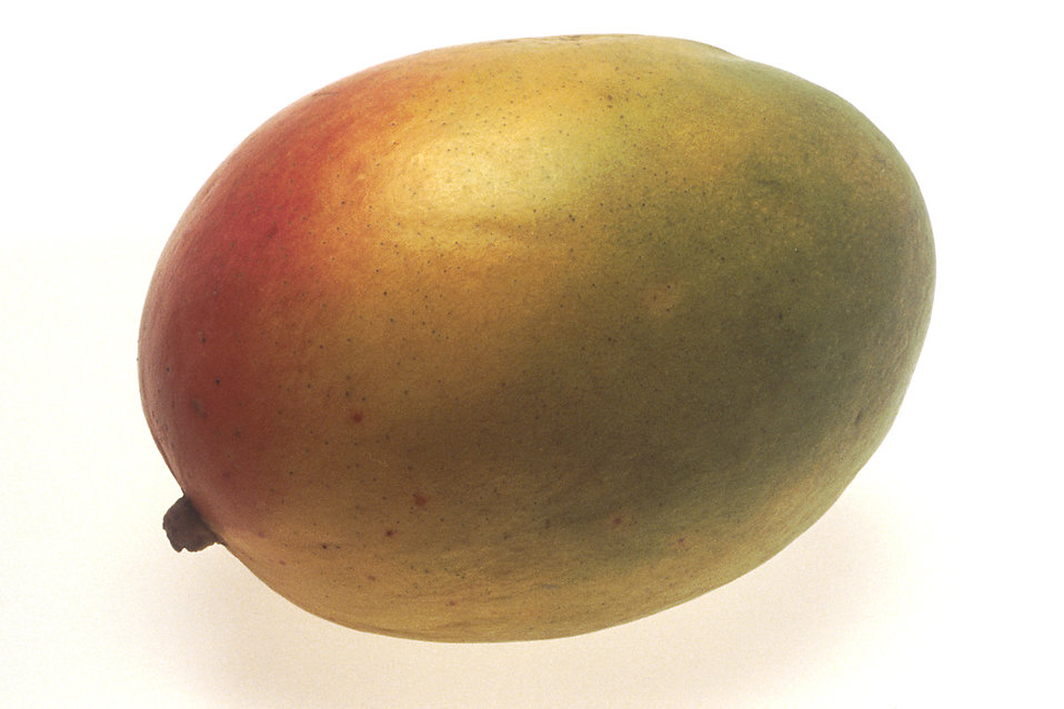 Mango Free Stock Photo A Mango Isolated On A White Background 17438 Mango Free Stock Photo A Mango Isolated On A White Background 17438