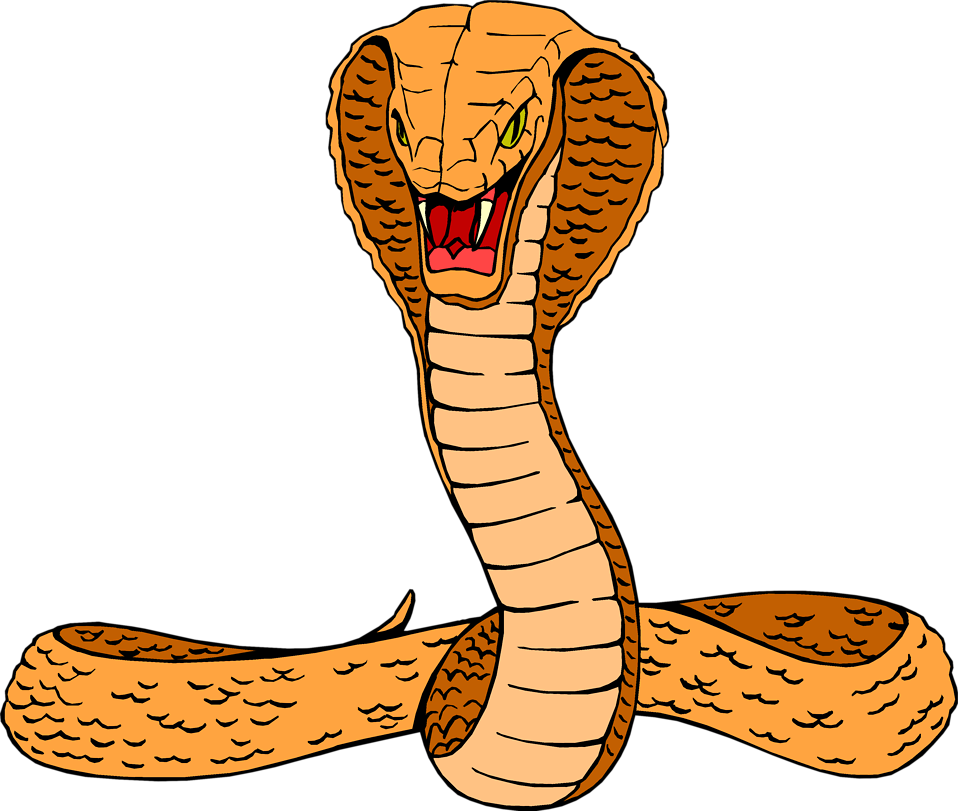 Illustration of a cobra : Free Stock Photo