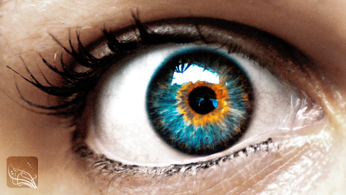 Close-up of a blue eye : Free Stock Photo