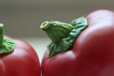 Free Stock Photo: Close-up of red chili peppers