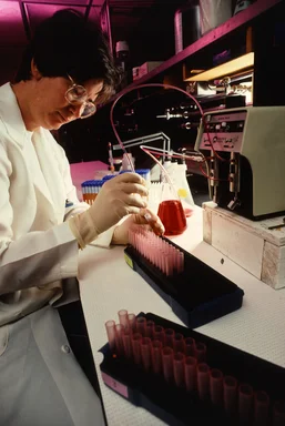 Free Stock Photo: A scientist working in a lab