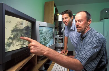 Free Stock Photo: Two researchers looking at data on a computer screen