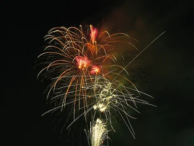 Free Stock Photo: Colorful fireworks in the night sky