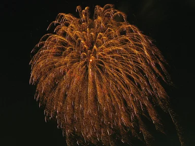 Free Stock Photo: Colorful fireworks in the night sky