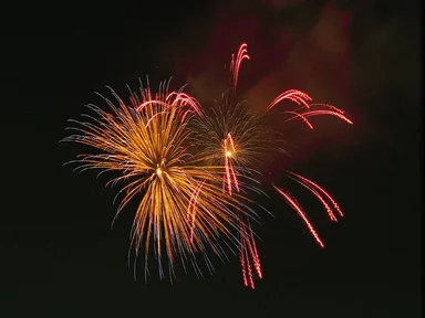 Free Stock Photo: Colorful fireworks in the night sky