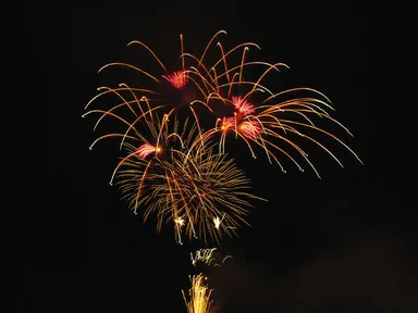 Free Stock Photo: Colorful fireworks in the night sky