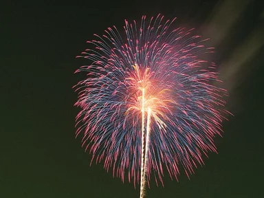 Free Stock Photo: Colorful fireworks in the night sky