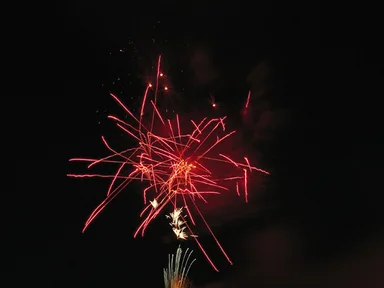 Free Stock Photo: Colorful fireworks in the night sky