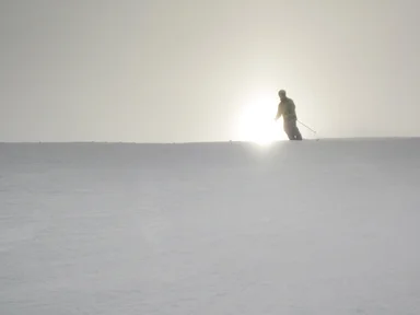 Free Stock Photo: A woman snow skiing