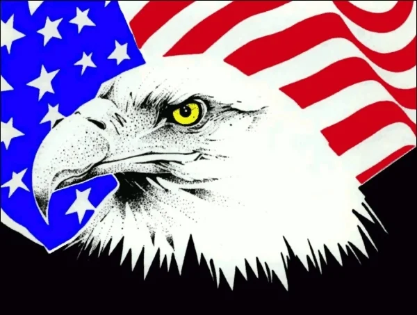 Eagle and American flag illustration : Free Stock Photo
