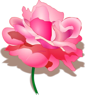 Free Stock Photo: Illustration of a pink rose