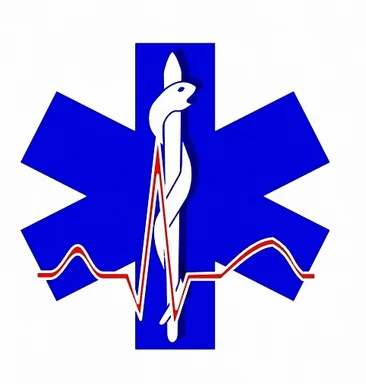 Free Stock Photo: Paramedic symbol illustration