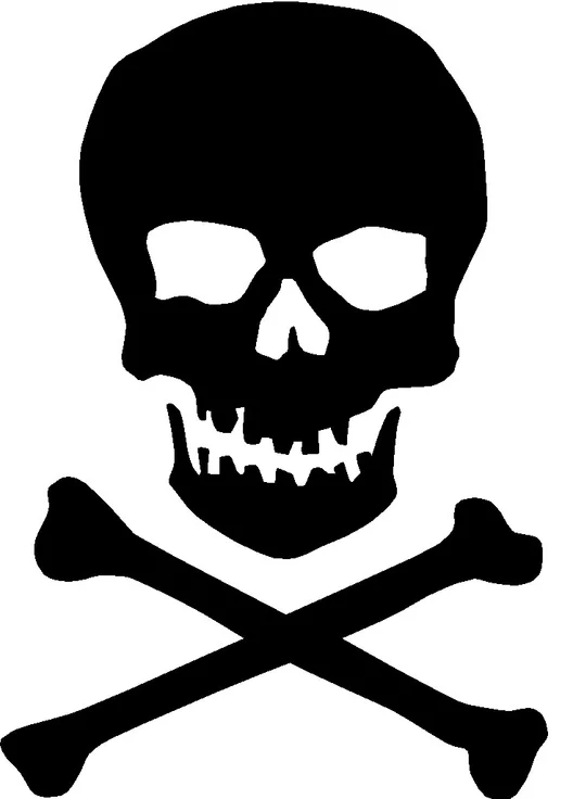 Skull and crossbones illustration : Free Stock Photo