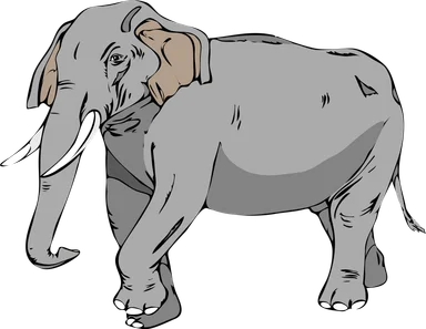 Free Stock Photo: Illustration of an elephant