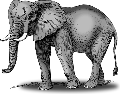 Free Stock Photo: Illustration of an elephant
