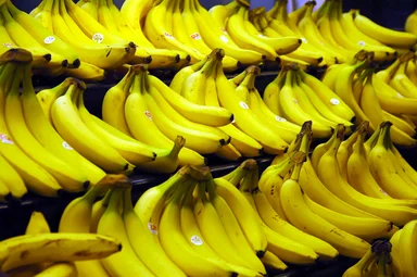 Free Stock Photo: Bunches of yellow bananas