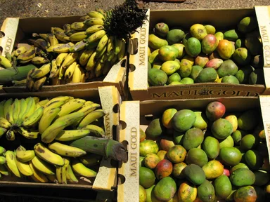 Free Stock Photo: Fresh mangoes and bananas
