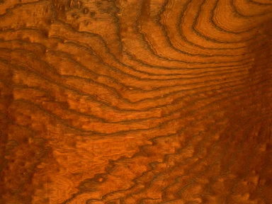 Free Stock Photo: A wood grain texture