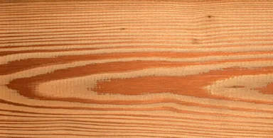 Free Stock Photo: A wood grain texture