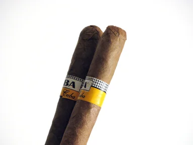 Free Stock Photo: Closeup of two cigars