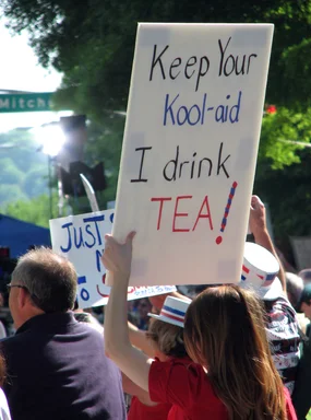 Free Stock Photo: Protestors with signs at the 2010 Atlanta tax day tea party in Atlanta, Georgia