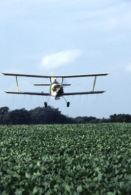Free Stock Photo: A cropduster spraying insecticide of a soybean field