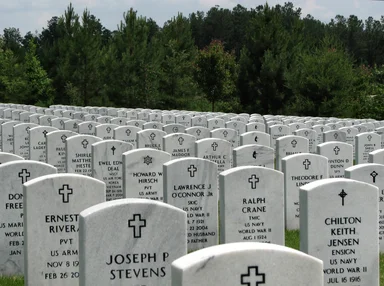 Free Stock Photo: Gravestones in a row at the Georgia National Cemetery