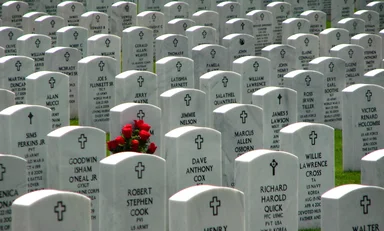 Free Stock Photo: Rows of gravestones at the Georgia National Cemetery