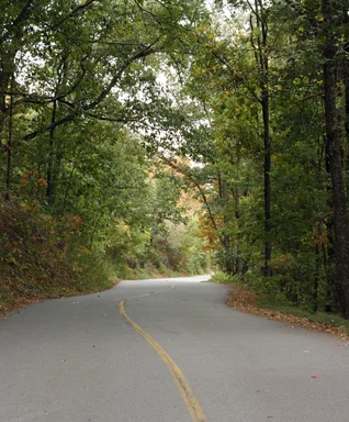 Free Stock Photo: A winding road surrounded by trees in early Autumn