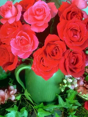 Free Stock Photo: A bouquet of red and pink roses