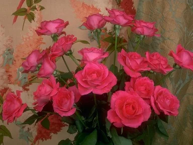 Free Stock Photo: A bouquet of pink roses
