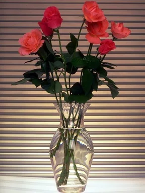 Free Stock Photo: A glass vase with pink roses