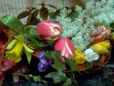 Free Stock Photo: A bouquet of colorful flowers