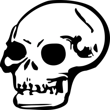 Free Stock Photo: Illustration of a human skull