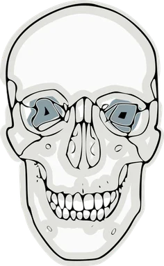Free Stock Photo: Illustration of a human skull