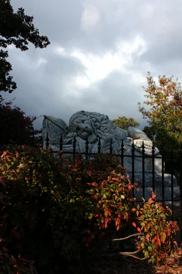 Free Stock Photo: The Lion of Atlanta statue at historic Oakland Cemetery in Atlanta, Georgia