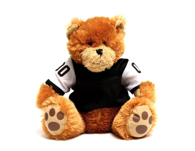 Free Stock Photo: A teddy bear in a football jersey
