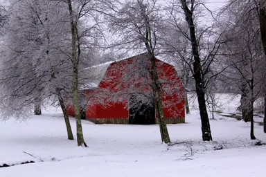 Free Stock Photo: A red barn surrounded by snow