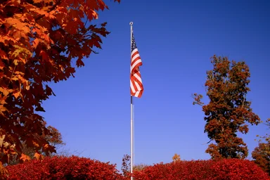 Free Stock Photo: A United States flag surrounded by autumn trees