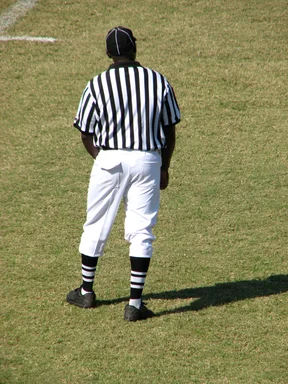 Free Stock Photo: A football referee on a field