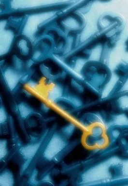 Free Stock Photo: A gold key