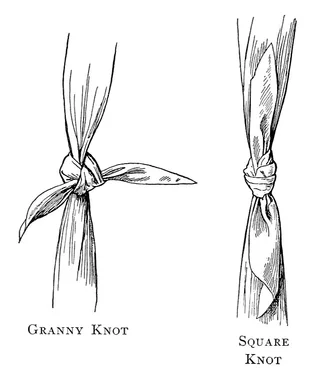 Free Stock Photo: An illustration of types of knots