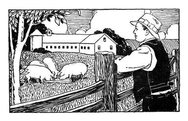 Free Stock Photo: Vintage illustration of a famer looking over pigs on his farm