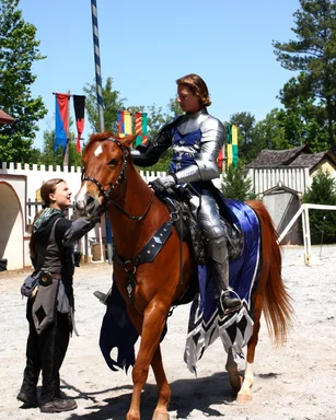 Free Stock Photo: A knight on a horse at the 2011 Georgia Renaissance Festival