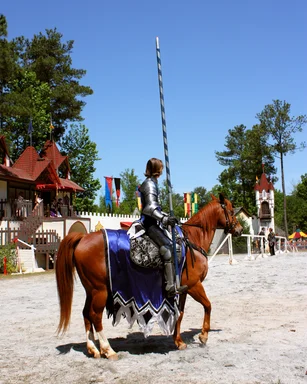 Free Stock Photo: A knight on a horse at the 2011 Georgia Renaissance Festival