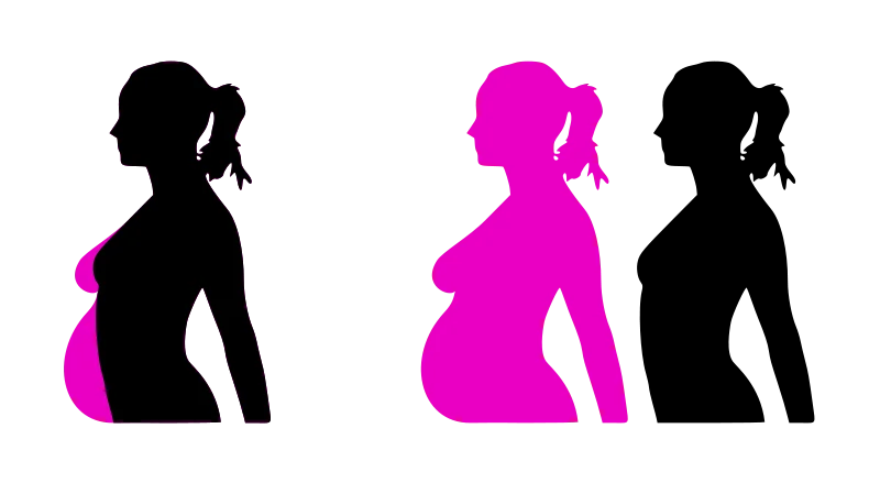 Illustration of a pregnant woman silhouette : Free Stock Photo