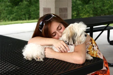 Free Stock Photo: A cute young girl resting with a small dog
