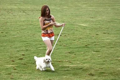 Free Stock Photo: A cute young girl walking her dog on the grass