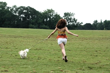 Free Stock Photo: A cute young girl running with her dog